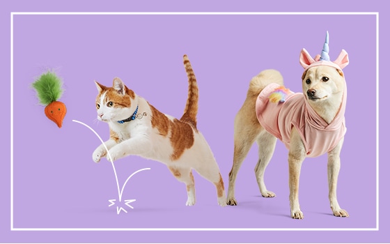 Pets Cartoon Soft Recovery Collar Recovery Protective Pet Cone Wound Healing  (for Dogs And Cats) Crab Cow Frog Elephant