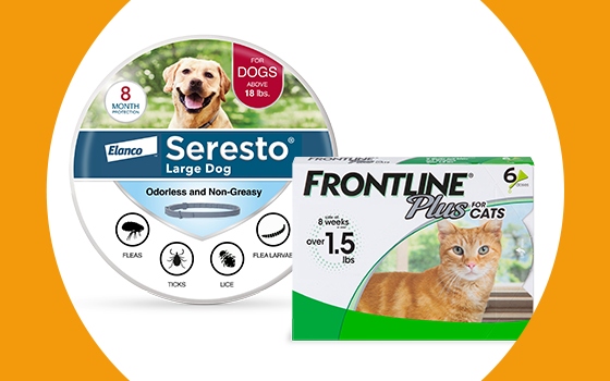 Trending Shops: Best Pet Products & Services | Petco