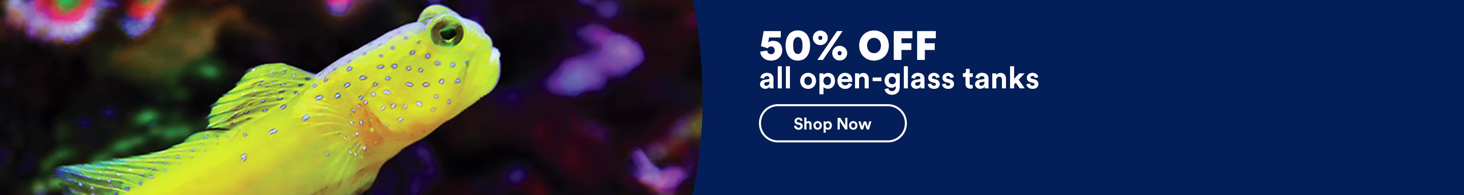 50% off all open-glass tanks. Shop now. Ends 10/3/26. Exclusions apply. See Details.