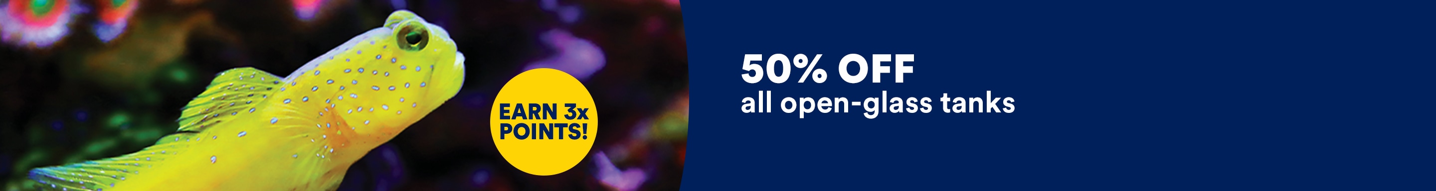 50% off all open-glass tanks. Ends 8/1/26. Exclusions apply. See Details.