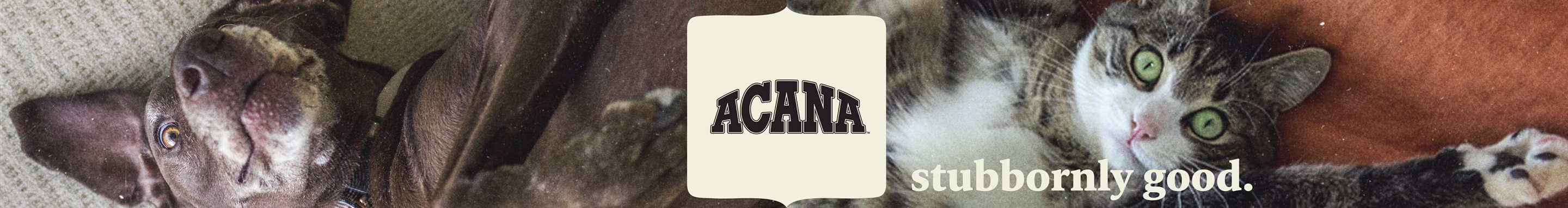 ACANA. Stubbornly good.