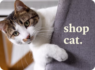 Shop Cat