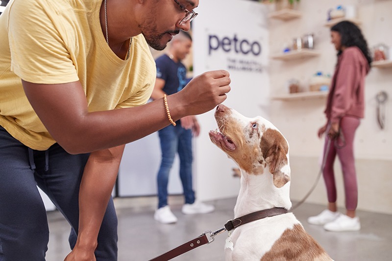 Petco potty sale training