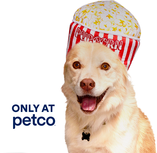 A dog and a popcorn plush toy.