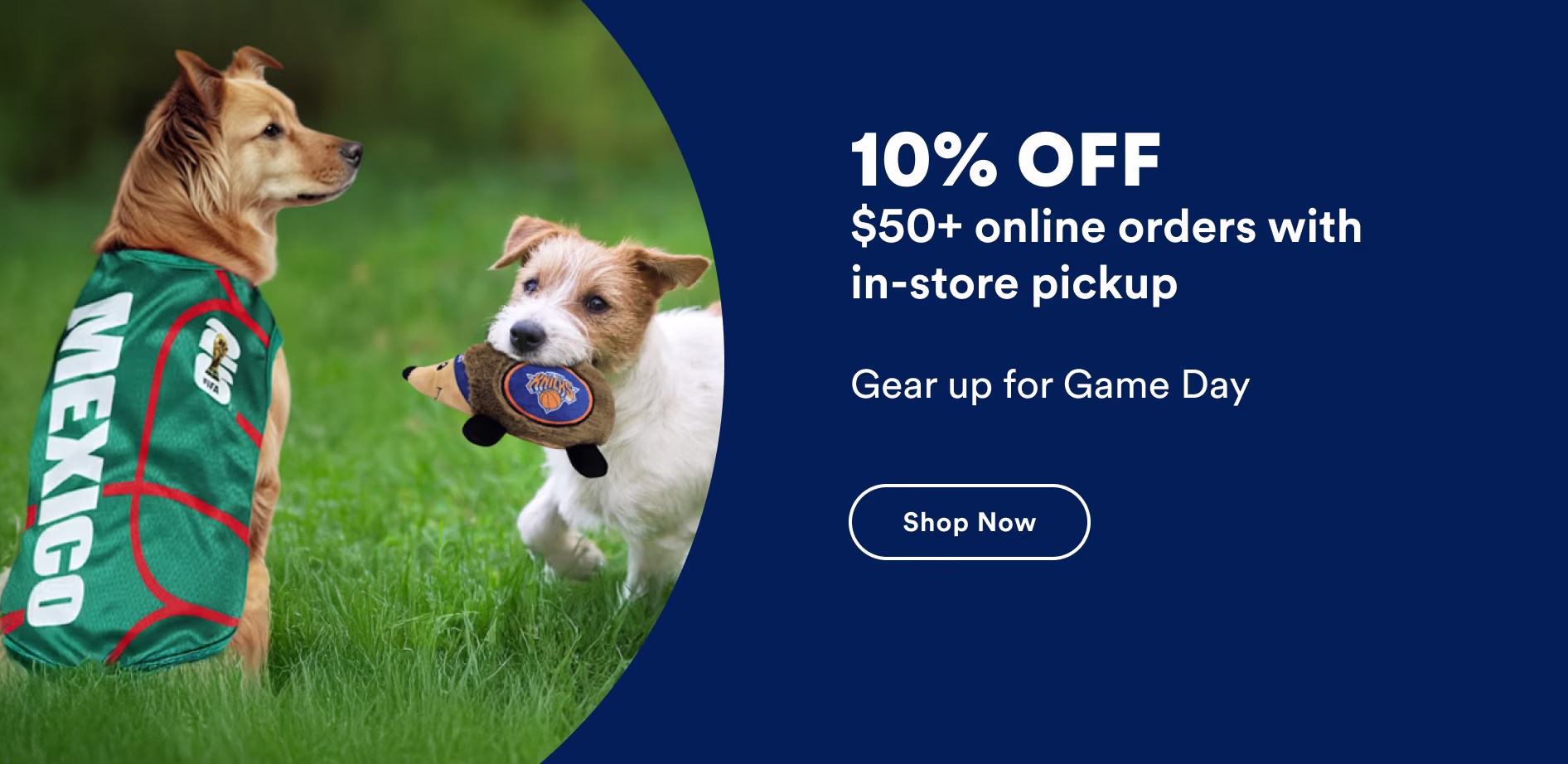 10% off $50+ online orders with in-store pickup. Gear up for game day. Shop now.