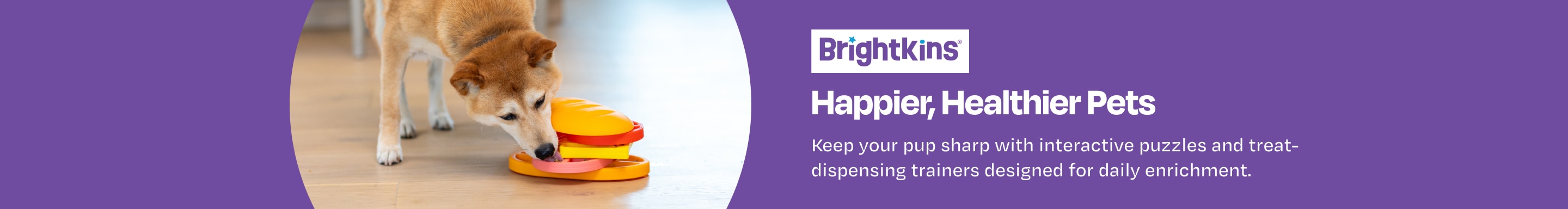 BrightKins. Happier, Healthier Pets. Keep your pup sharp with interactive puzzles and treat-dispensing trainers designed for daily enrichment.