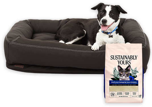 Buy dog products hotsell