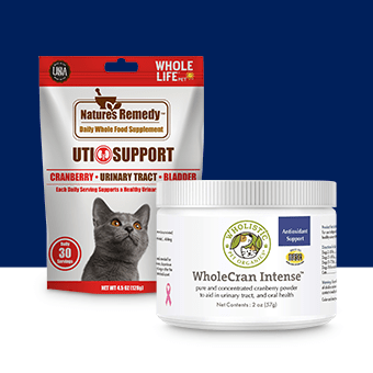 Healthy Habits Hub: Dog & Cat Health Essentials | Petco