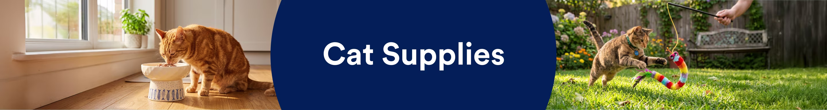 Cat Supplies.
