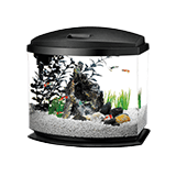 Petco 2 store gallon fish tank