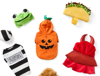 Spooky & Fun Favorites. Assorted halloween costumes.