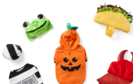 Spooky & Fun Favorites. Assorted halloween costumes.