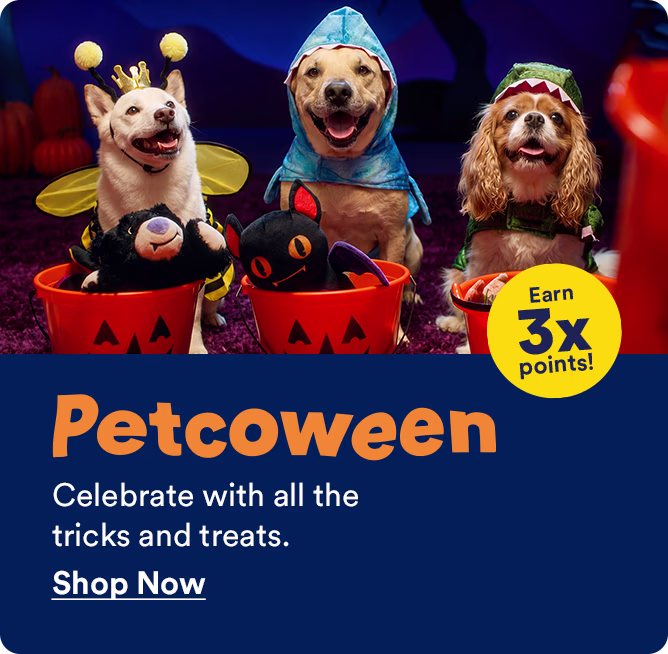 Petcoween. Celebrate with all the tricks and treats. Earn 3x points! Shop now.