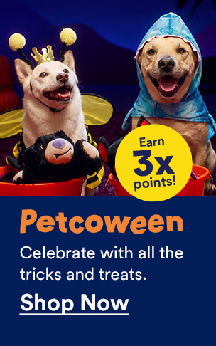 Petcoween. Celebrate with all the tricks and treats. Earn 3x points! Shop now.