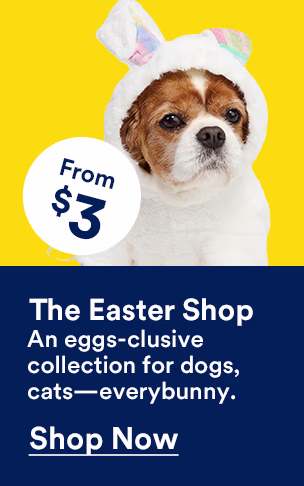 Spring on the new. Tons (!) of fresh ways to spoil 'em. Shop now.