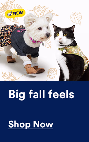 Big fall feels. Fits, accessories & all things pumpkin. Shop now.