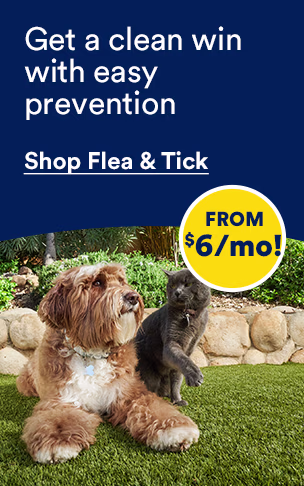 Get a clean win with easy prevention. From $6 per month! Shop flea & tick.