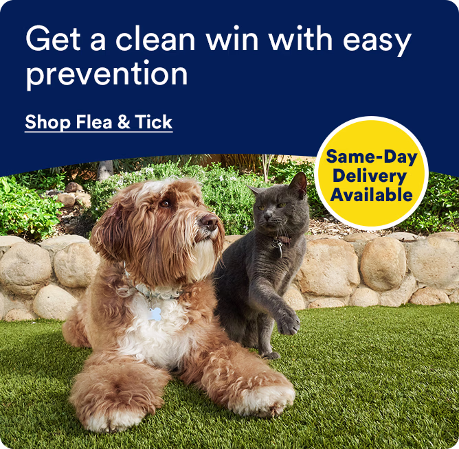 Get a clean win with easy prevention. Same-Day Delivery Available. Shop flea & tick.