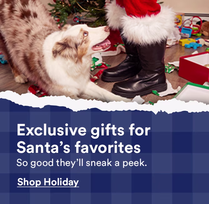 Exclusive gifts for Santa’s favorites. So good they’ll sneak a peek. Shop holiday.