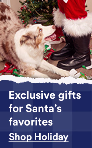 Exclusive gifts for Santa’s favorites. So good they’ll sneak a peek. Shop holiday.