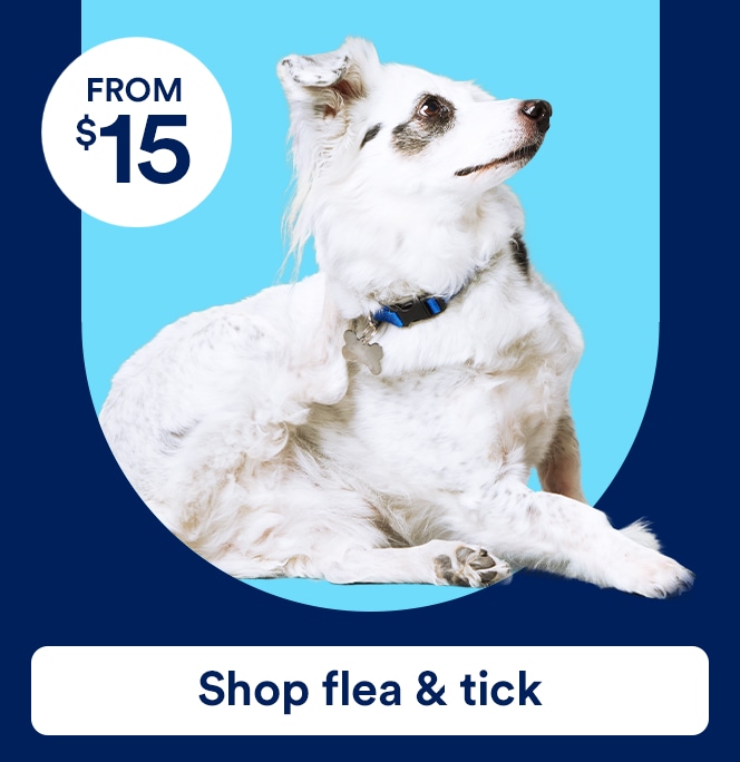 Shop flea and tick from $15.