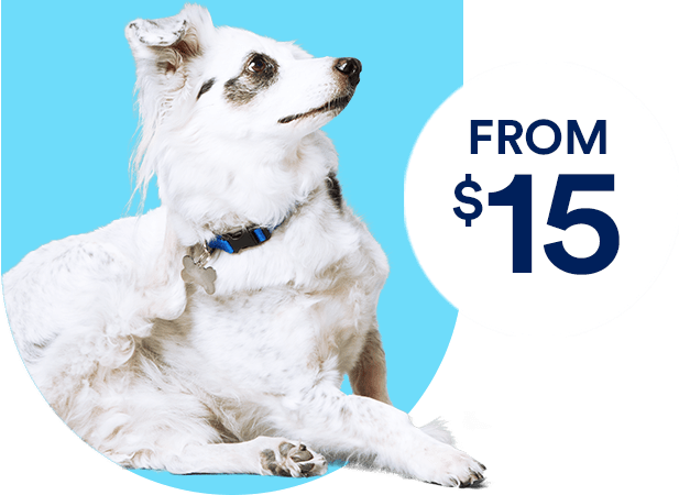 Flea and tick from $15. Shop now.