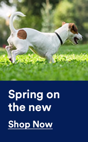 Spring on the new. Tons (!) of fresh ways to spoil 'em. Shop now.