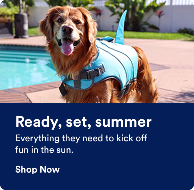 Ready, set, summer. Everything they need to kick off fun in the sun. Shop now.