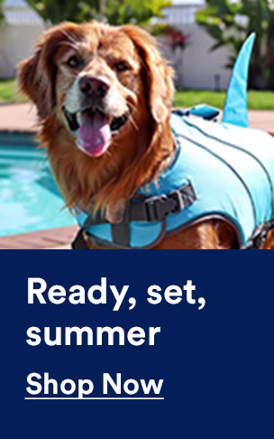 Ready, set, summer. Everything they need to kick off fun in the sun. Shop now.
