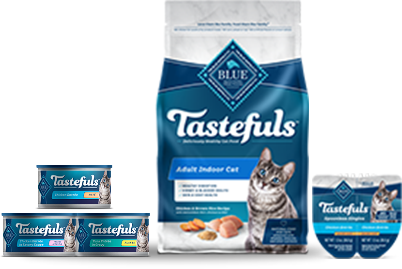Wet Cat Food: Kitten Wet Food & Canned Cat Food | Petco
