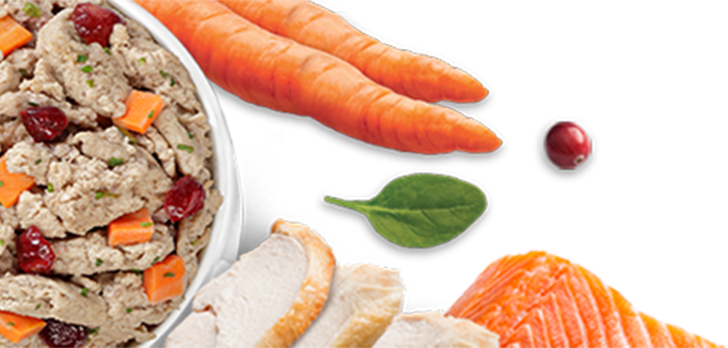 Pet food bowl next to natural ingredients.