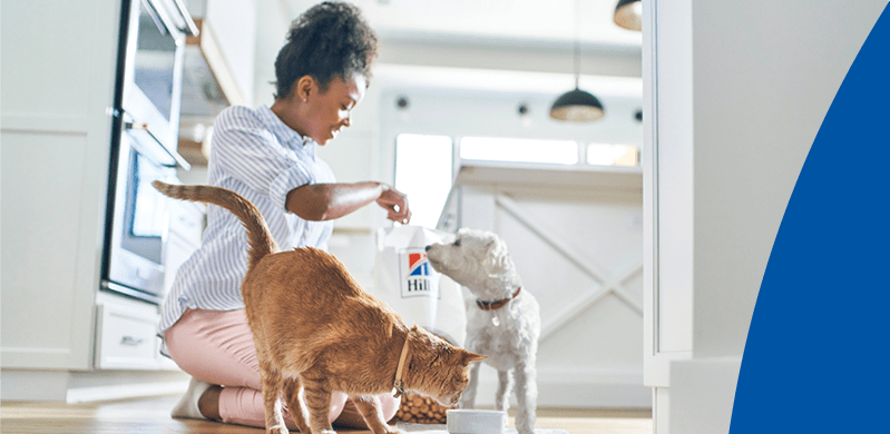 A woman feeding her pets.