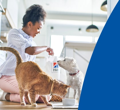 Petco science diet cat on sale