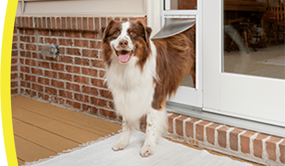 PetSafe Dog Doors Flaps Petco