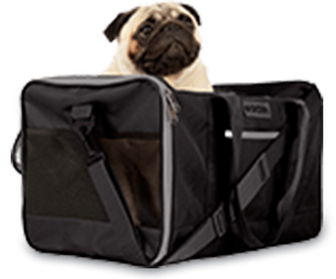 Sherpa pet hot sale carrier petco