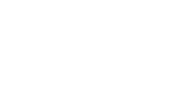 🐱El relajante Comfort Zone - Veterinaria PET VET