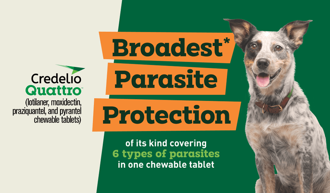 Broadest* parasite protection of its kind covering 6 types of parasites in one chewable tablet.