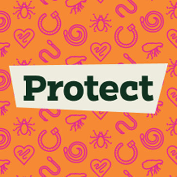 Protect.