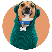 Petco outfits best sale