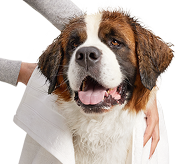 Petco Dog Grooming Dog Baths, Haircuts, Nail Trimming