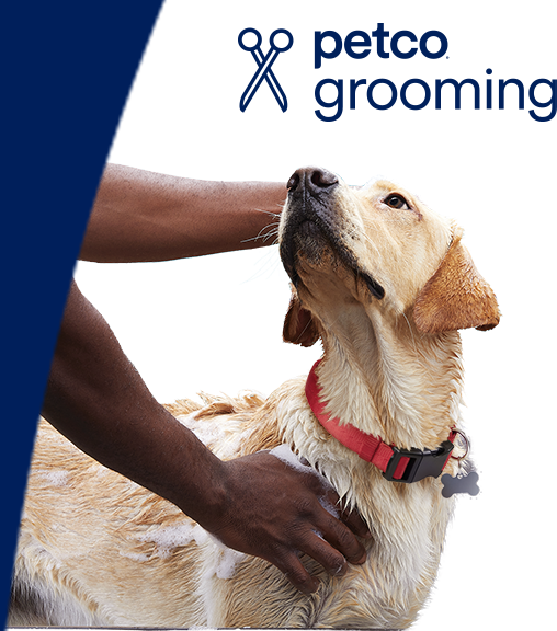 what do dog groomers use to wash dogs