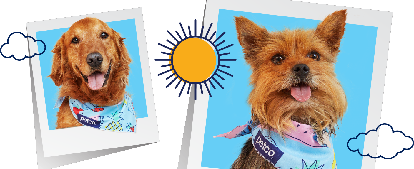 Petco Dog Grooming Dog Baths, Haircuts, Nail Trimming