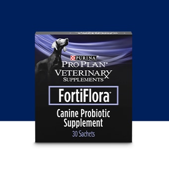 Fortiflora for cats outlet petco