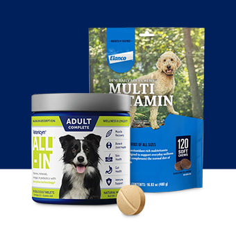 Healthy Habits Hub: Dog & Cat Health Essentials | Petco