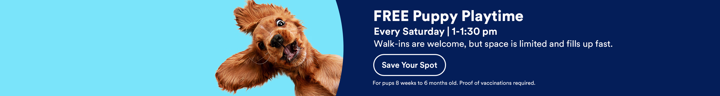FREE Puppy Playtime! Every Saturday | 1-1:30 pm. Walk-ins are welcome, but space is limited and fills up fast. Save Your Spot. For pups 8 weeks to 6 months old. Proof of vaccinations required.