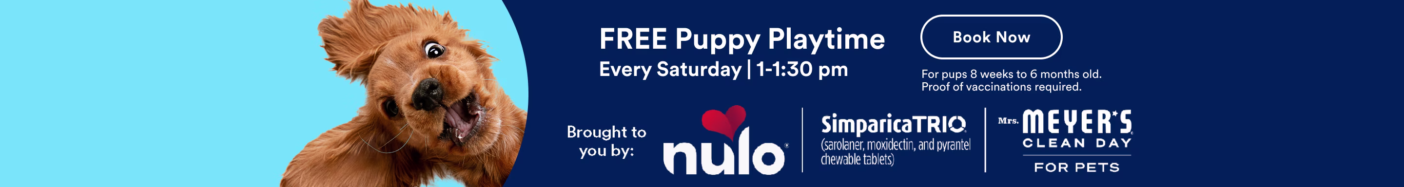 FREE Puppy Playtime Every Saturday | 1-1:30 pm. Book Now. For pups 8 weeks to 6 months old. Proof of vaccinations required. Brought to you by Nulo. Simparica Trio. Mrs. Meyer's Clean Day for Pets.