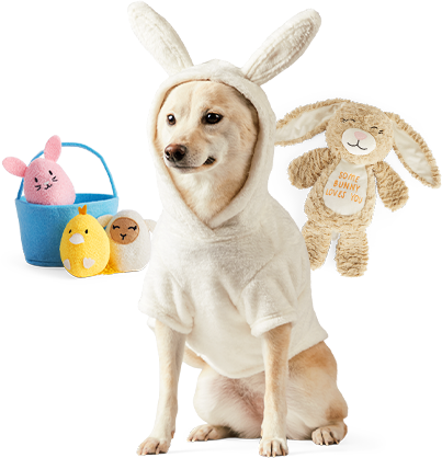 Easter Shop Tail Wagging Fun for Your Dog Petco