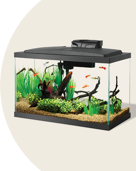 Dollar gallon sale petco hotsell