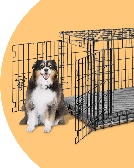 Dog crate waterer best sale