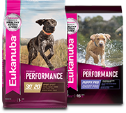 Eukanuba dog hotsell food petco